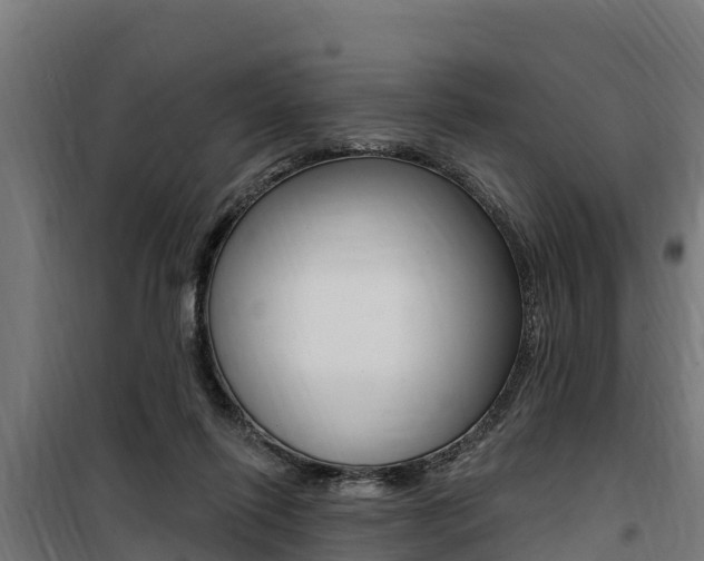 X0000100750262200806190830