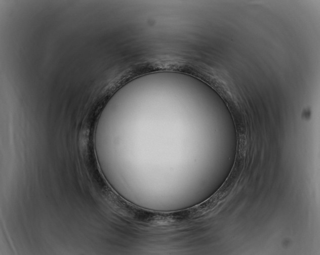 X0000100750263200806190830