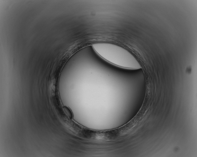 X0000100750264200806190830