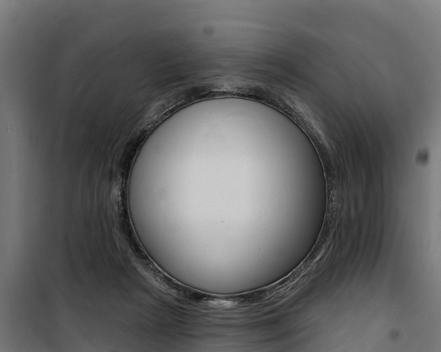 X0000100750265200806190830