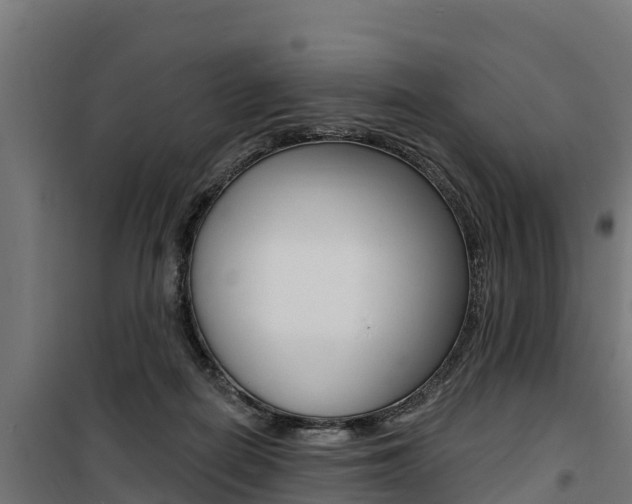X0000100750266200806190830