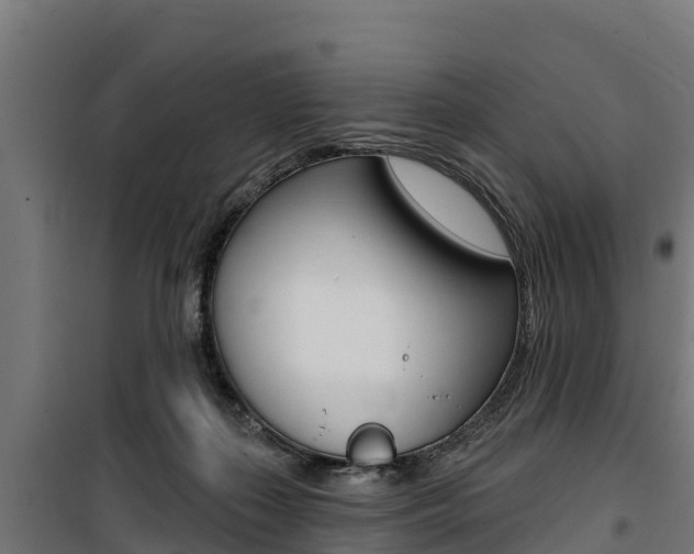 X0000100750267200806190830