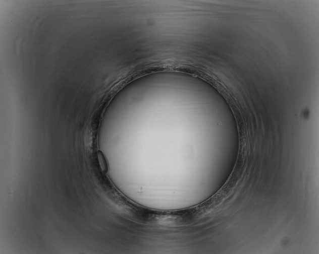X0000100750268200806190830