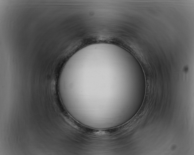 X0000100750269200806190830