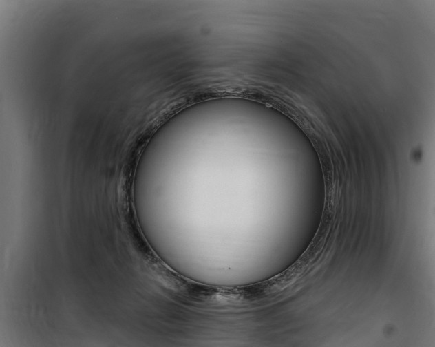 X0000100750270200806190830