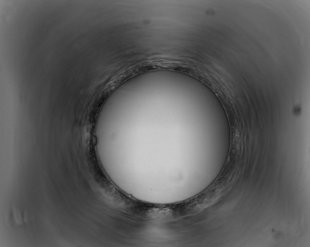 X0000100750271200806190830