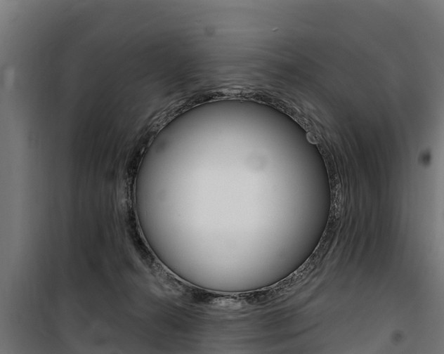 X0000100750272200806190830