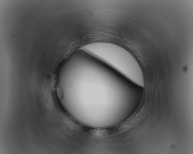 X0000100750273200806190830
