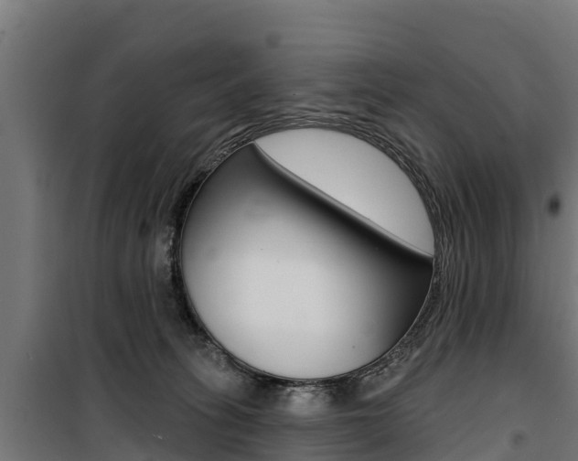 X0000100750275200806190830