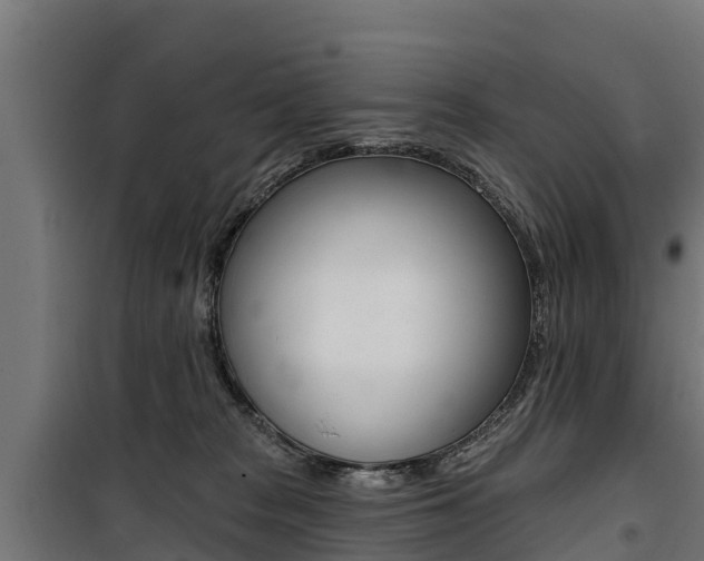 X0000100750277200806190830