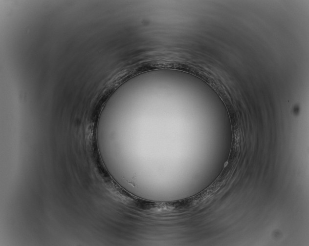 X0000100750278200806190830