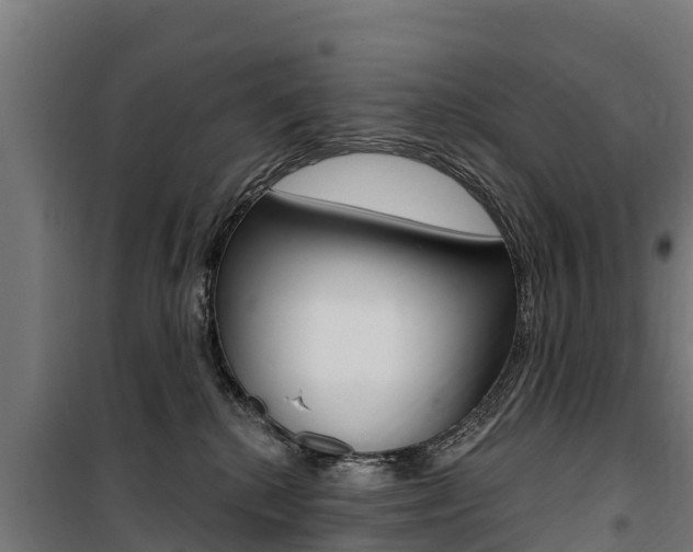 X0000100750280200806190830