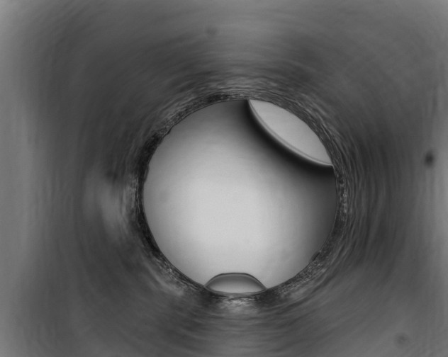 X0000100750283200806190830