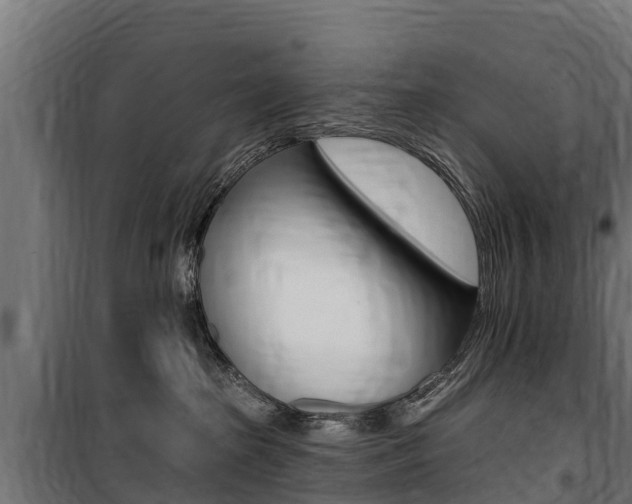 X0000100750285200806190830