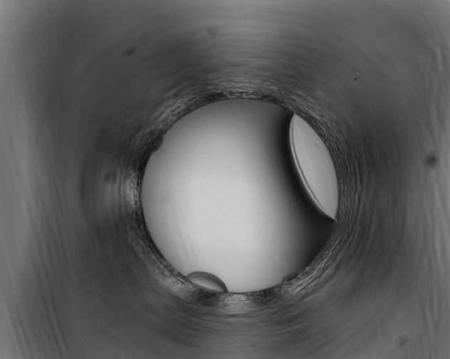 X0000100750287200806190830