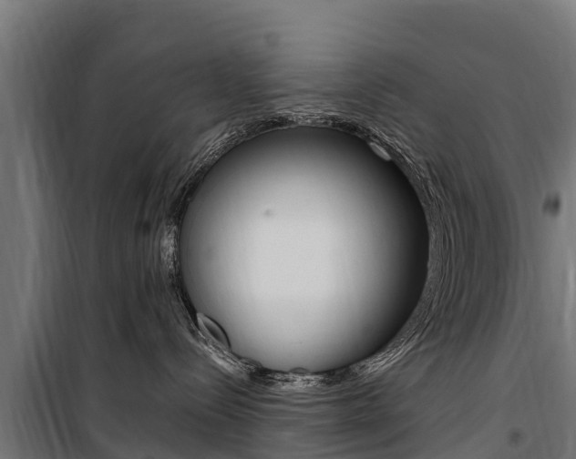 X0000100750288200806190830