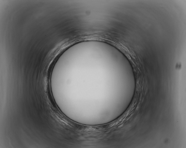 X0000100750290200806190830