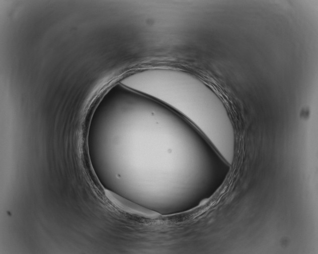 X0000100750293200806190830
