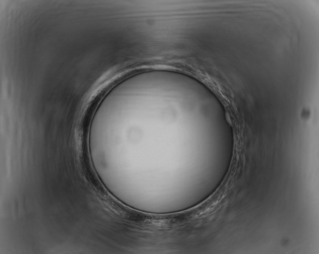 X0000100750295200806190830
