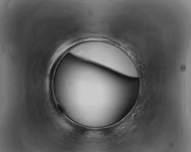 X0000100750296200806190830