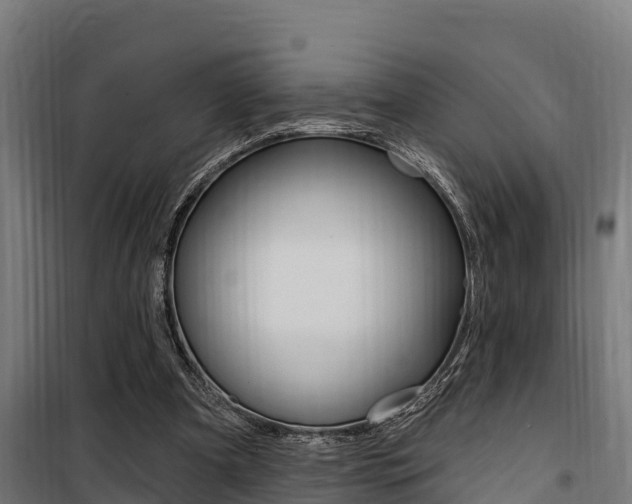 X0000100750297200806190830