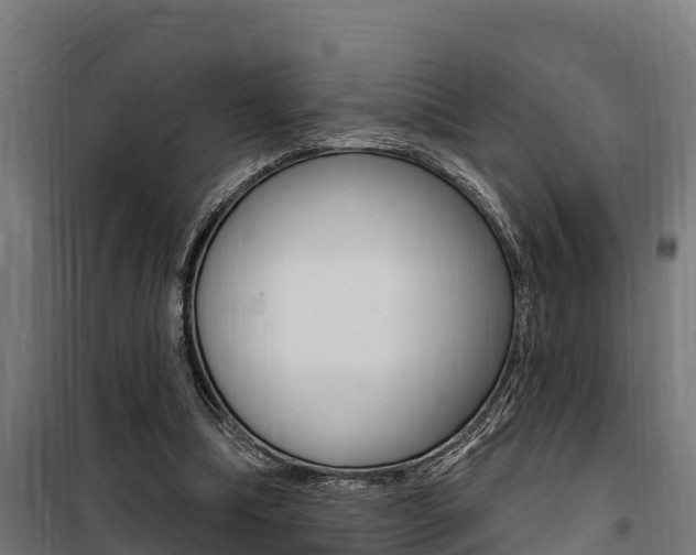 X0000100750298200806190829