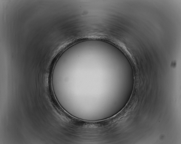 X0000100750299200806190829