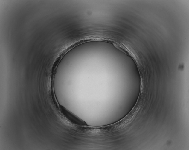 X0000100750301200806190829