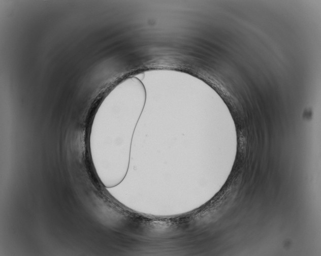 X0000100750302200806190829