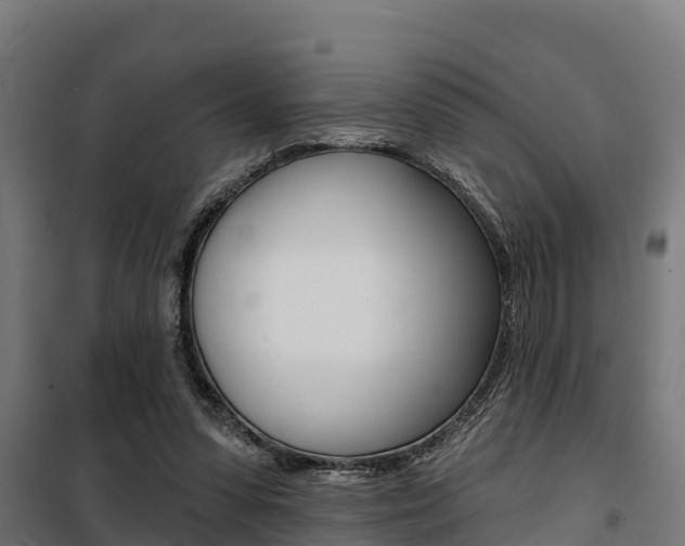 X0000100750303200806190829