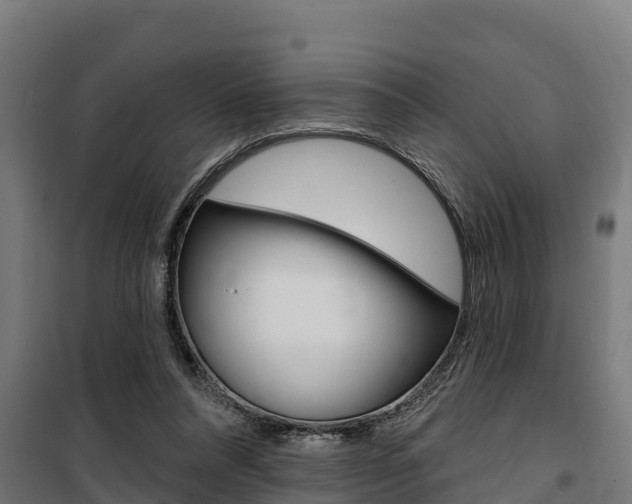 X0000100750304200806190829