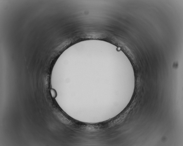X0000100750305200806190829