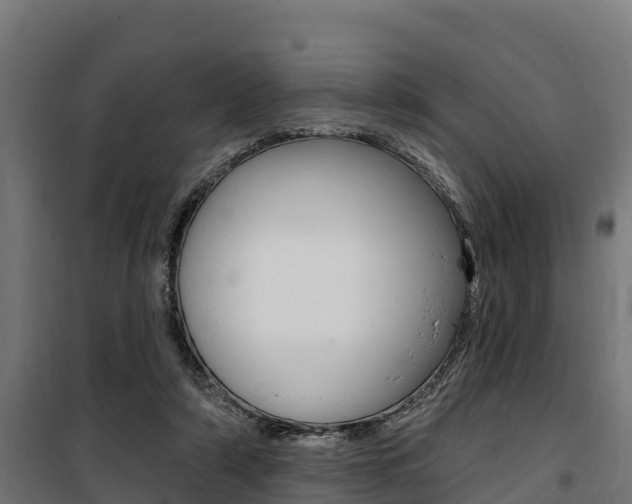 X0000100750306200806190829