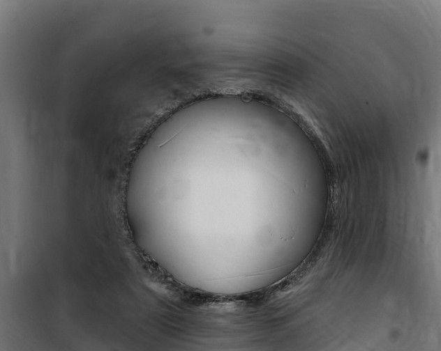 X0000100750307200806190829