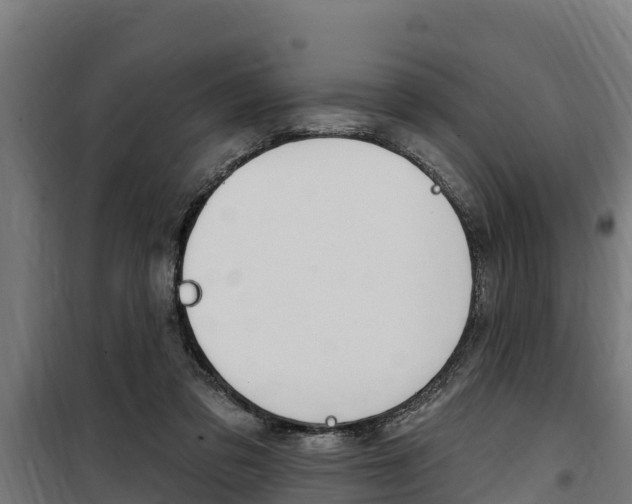 X0000100750309200806190829
