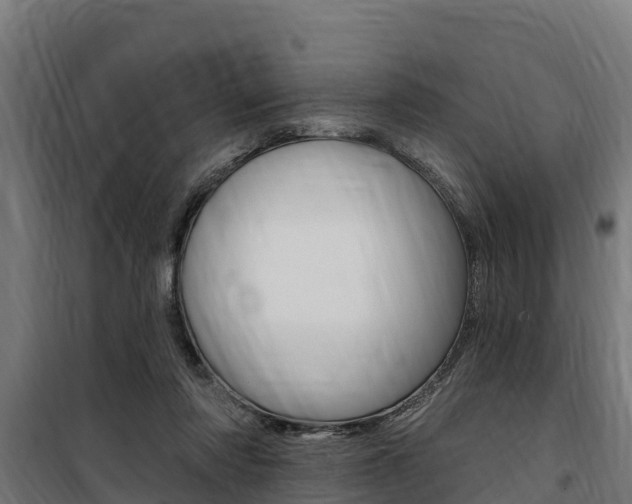 X0000100750310200806190829