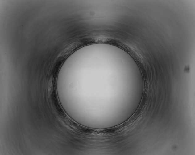 X0000100750311200806190829