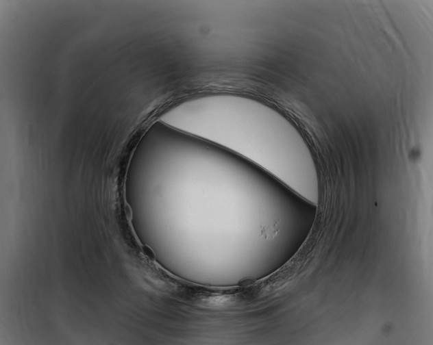 X0000100750312200806190829