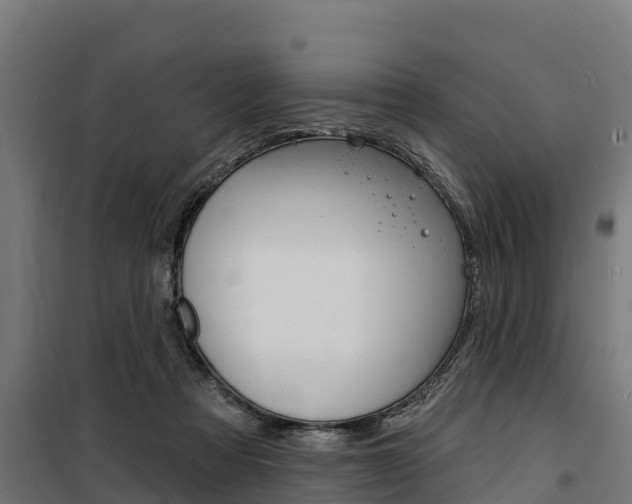 X0000100750313200806190829