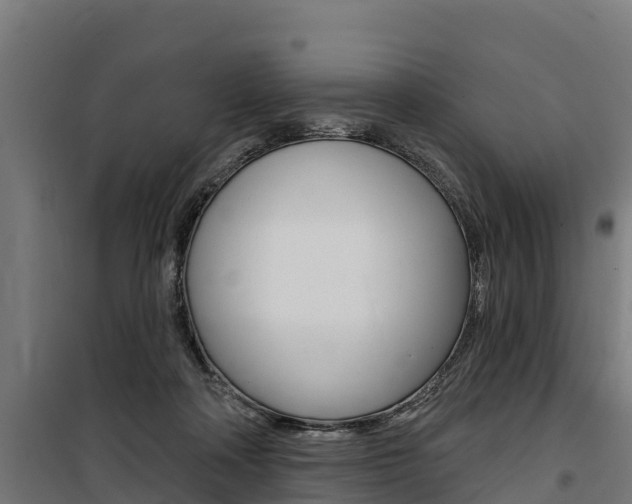 X0000100750314200806190829