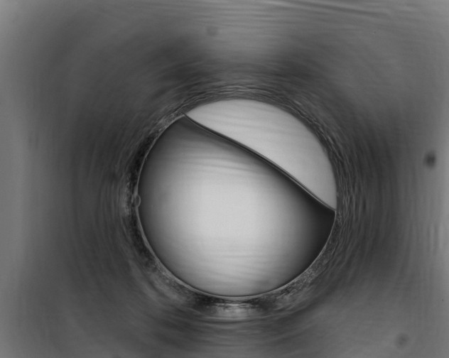 X0000100750316200806190829