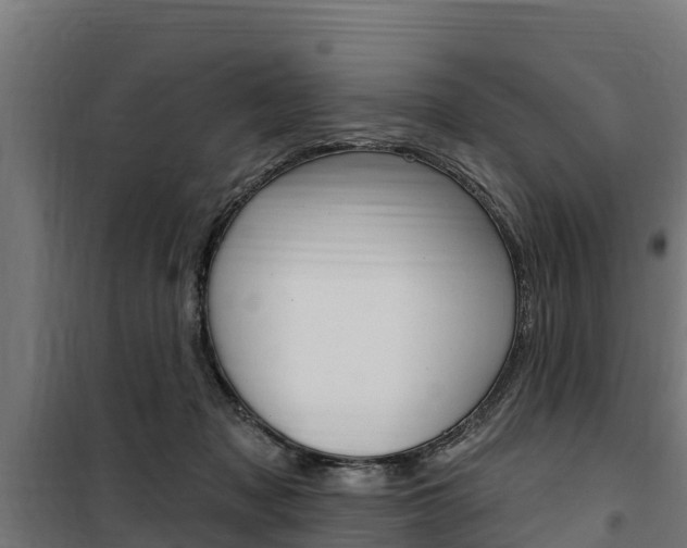 X0000100750317200806190829