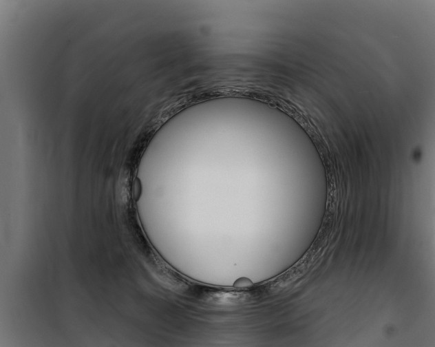 X0000100750323200806190829