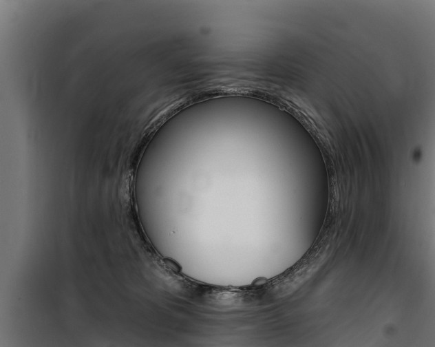X0000100750325200806190829