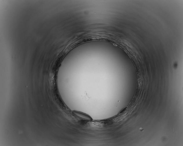 X0000100750327200806190829