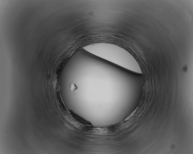 X0000100750328200806190829