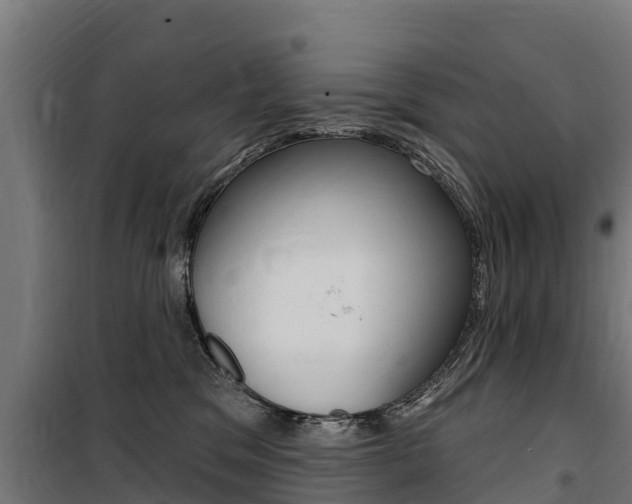 X0000100750329200806190829