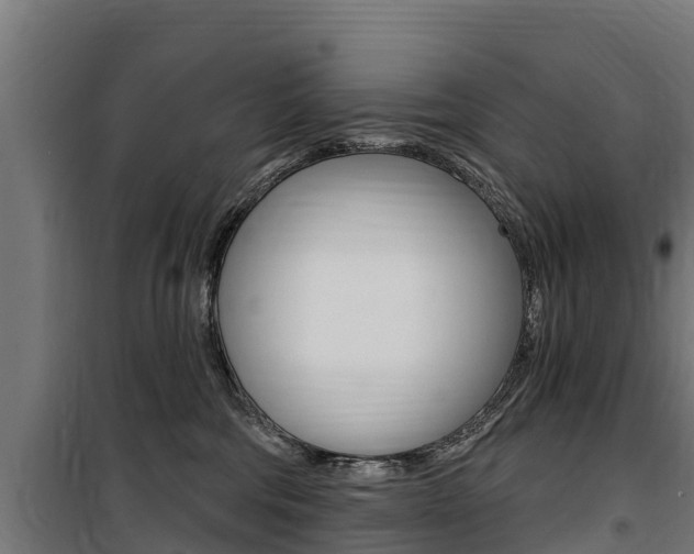 X0000100750330200806190829