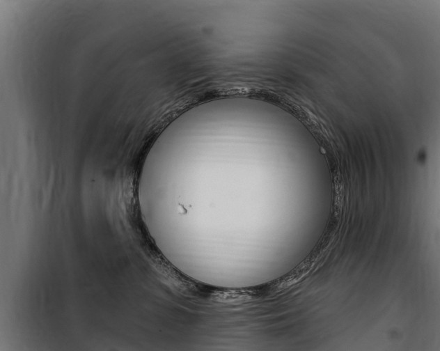 X0000100750331200806190829