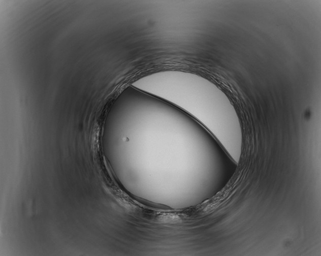 X0000100750332200806190829